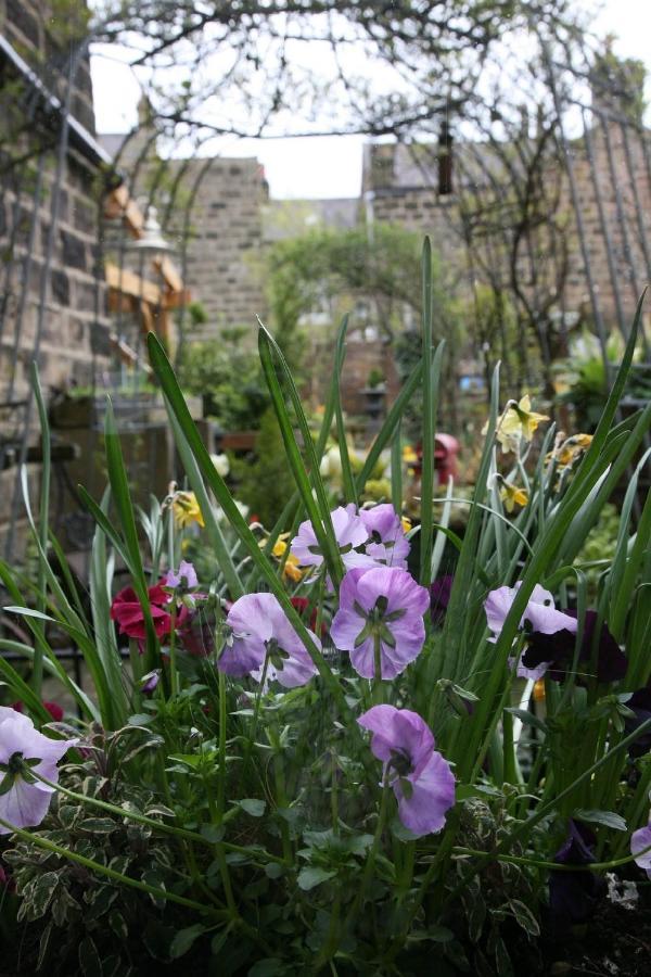 Alexandra Court Bed & Breakfast Harrogate Exterior foto